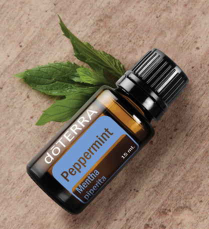 doTerra_peppermint